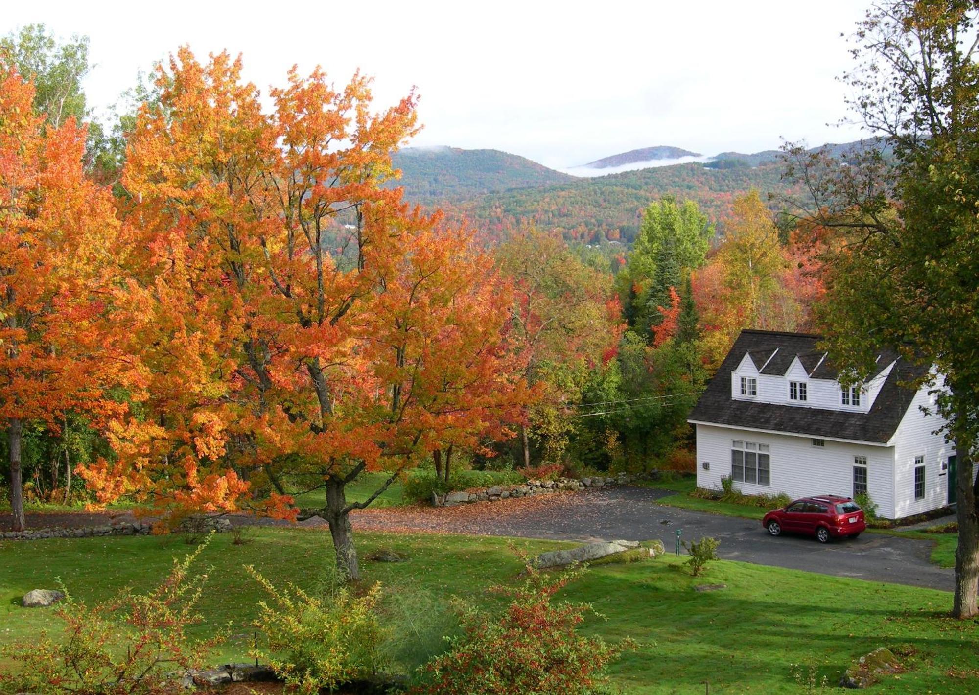 Adair Country & Restaurant 4*