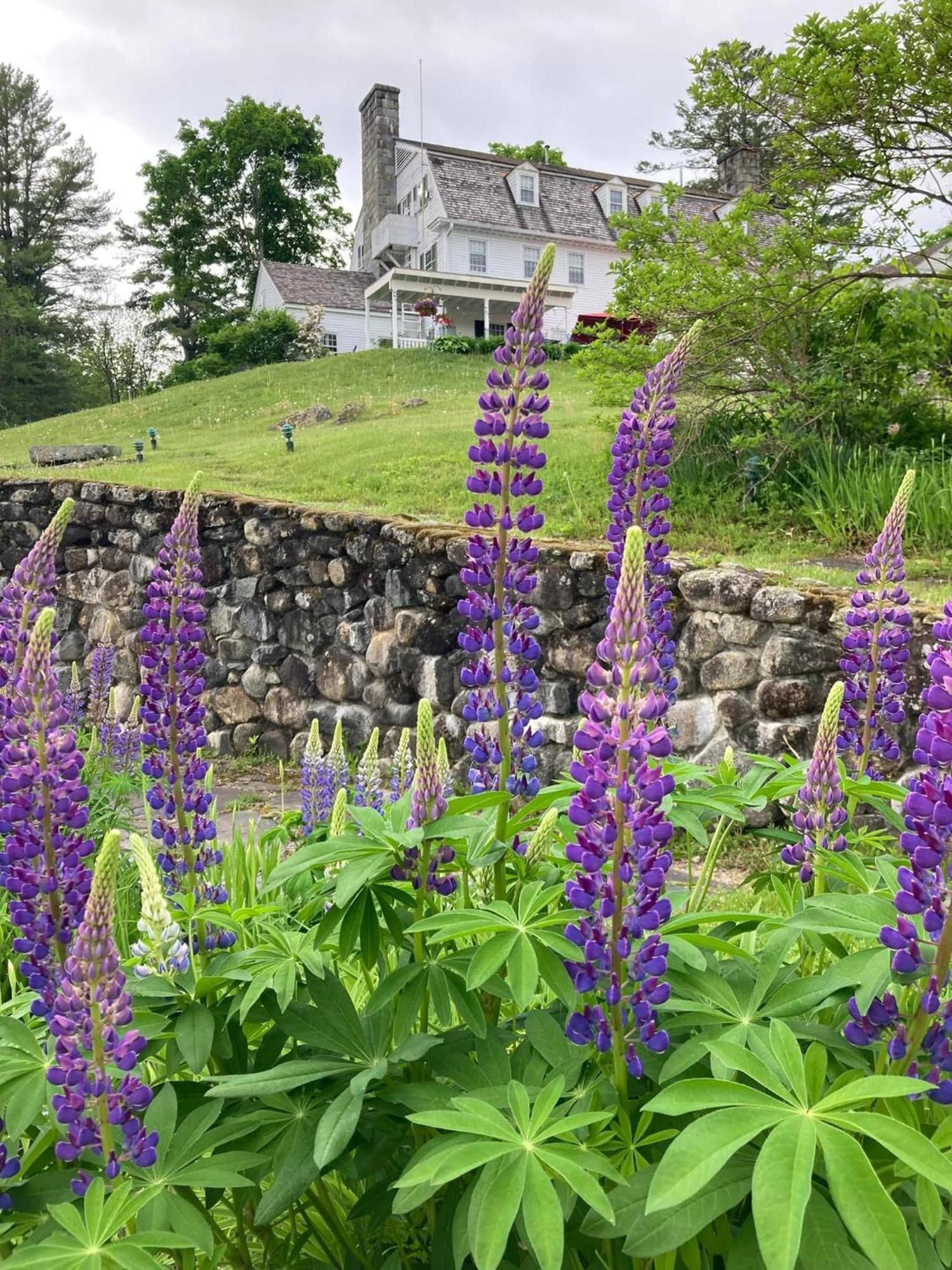 Adair Country & Restaurant 4* Bethlehem